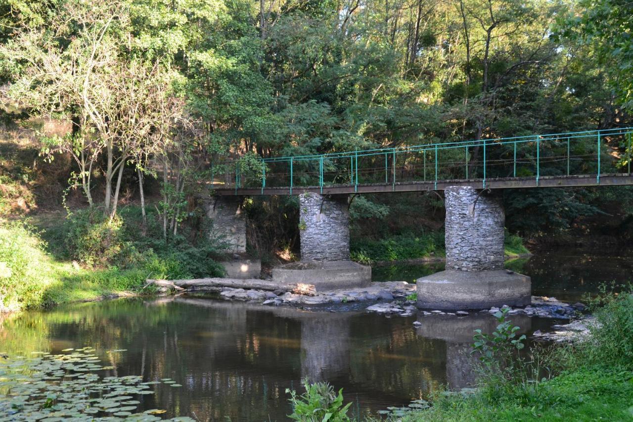Le Moulin Neuf Villa Beaupréau-en-Mauges Eksteriør billede