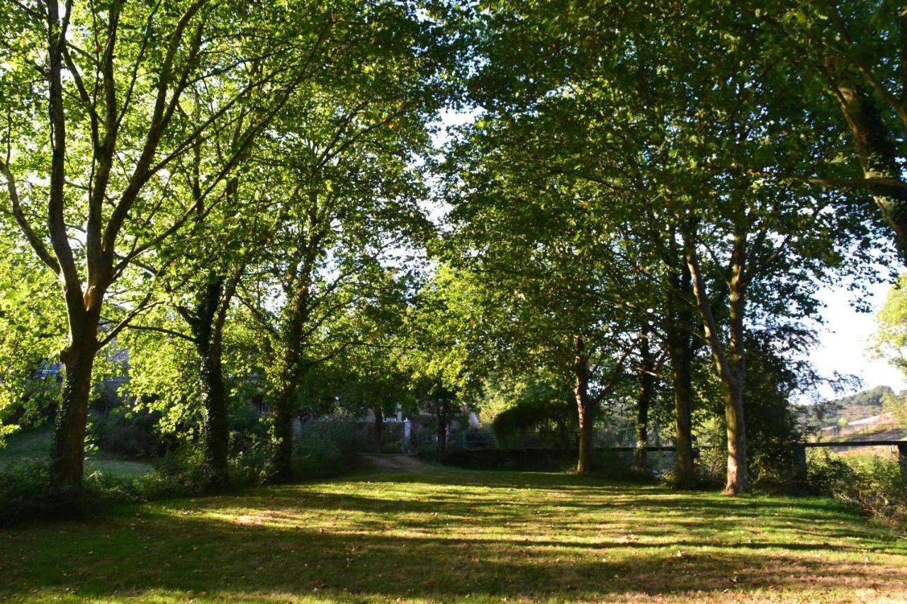 Le Moulin Neuf Villa Beaupréau-en-Mauges Eksteriør billede