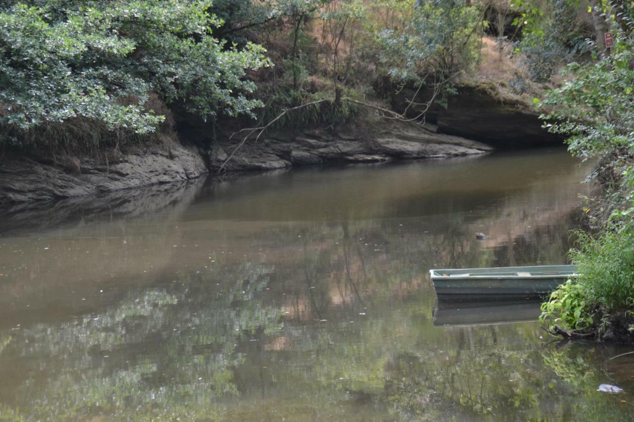 Le Moulin Neuf Villa Beaupréau-en-Mauges Eksteriør billede